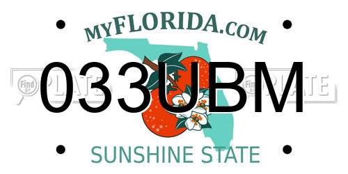 033UBM Florida License Plate