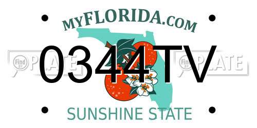 0344TV Florida License Plate