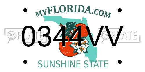 0344VV Florida License Plate