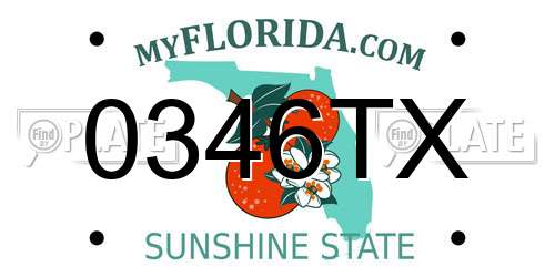 0346TX Florida License Plate