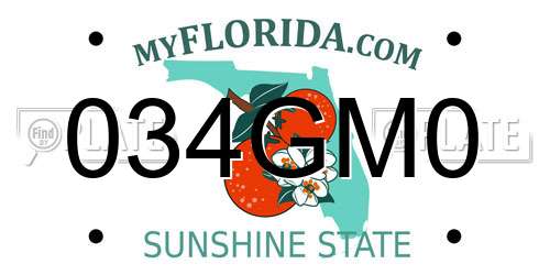 034GM0 Florida License Plate