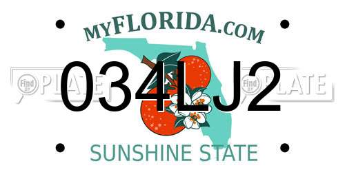 034LJ2 Florida License Plate