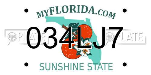 034LJ7 Florida License Plate