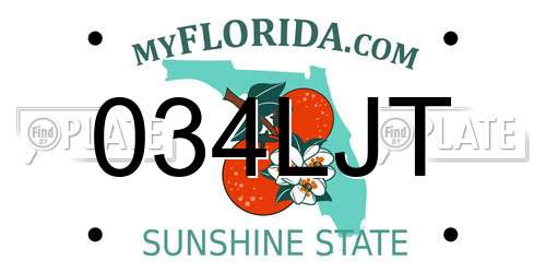 034LJT Florida License Plate