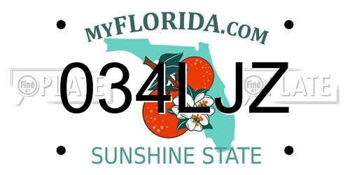 034LJZ Florida License Plate