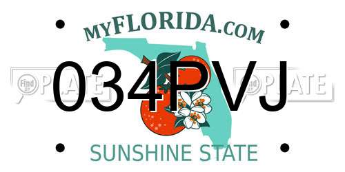 034PVJ Florida License Plate