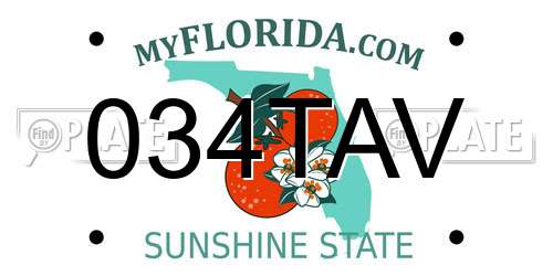 034TAV Florida License Plate