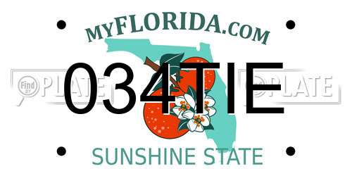 034TIE Florida License Plate