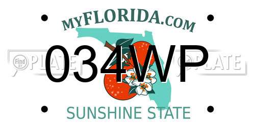 034WP Florida License Plate