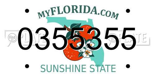 0355355 Florida License Plate