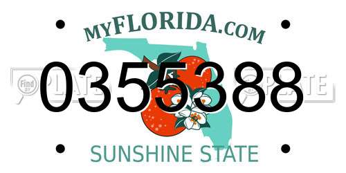 0355388 Florida License Plate