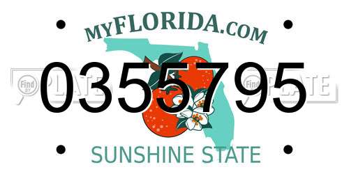 0355795 Florida License Plate