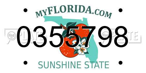 0355798 Florida License Plate