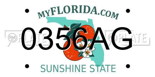 0356AG Florida License Plate