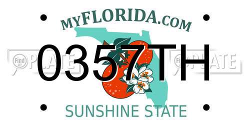 0357TH Florida License Plate
