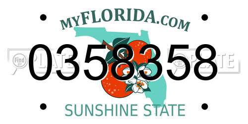 0358358 Florida License Plate