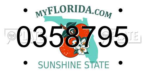 0358795 Florida License Plate