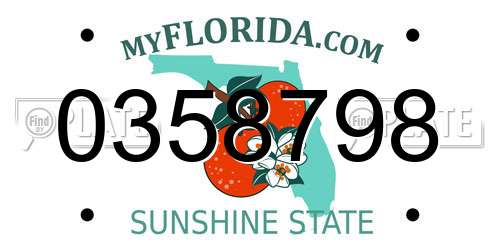 0358798 Florida License Plate