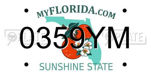 0359YM Florida License Plate