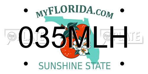035MLH Florida License Plate