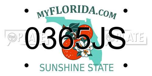 0365JS Florida License Plate