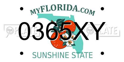 0365XY Florida License Plate