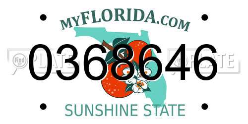 0368646 Florida License Plate
