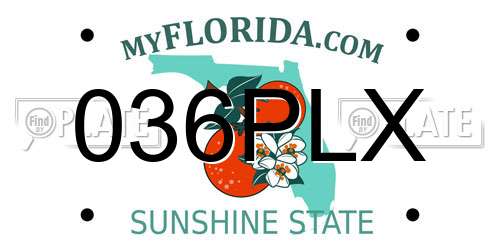 036PLX Florida License Plate