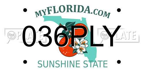 036PLY Florida License Plate