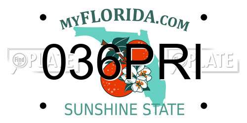 036PRI Florida License Plate