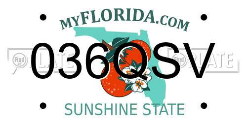 036QSV Florida License Plate