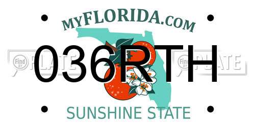 036RTH Florida License Plate