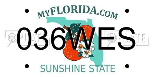 036WES Florida License Plate