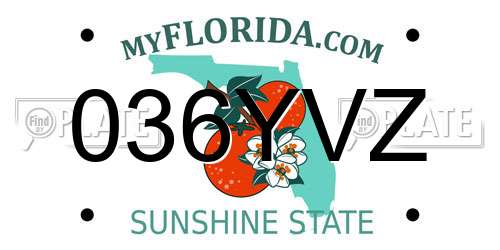 036YVZ Florida License Plate