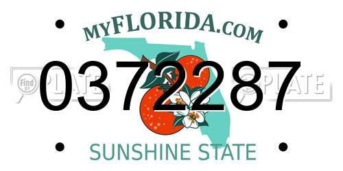 0372287 Florida License Plate