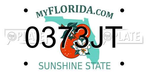 0373JT Florida License Plate