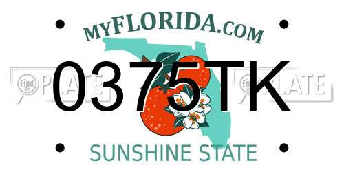 0375TK Florida License Plate
