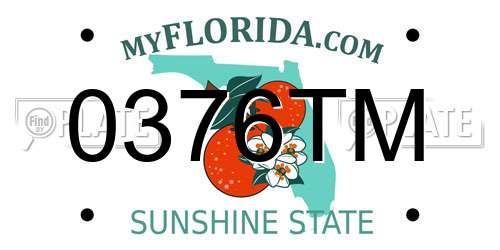 0376TM Florida License Plate