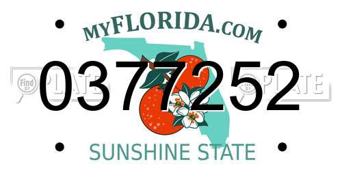0377252 Florida License Plate