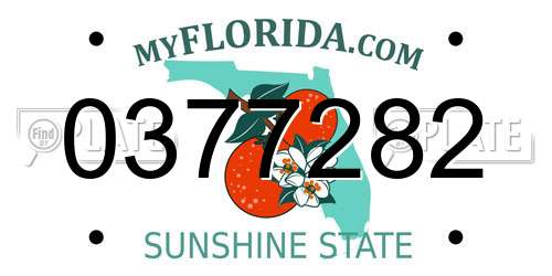 0377282 Florida License Plate