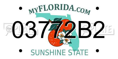 03772B2 Florida License Plate