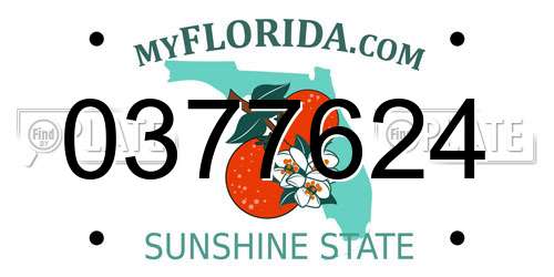 0377624 Florida License Plate