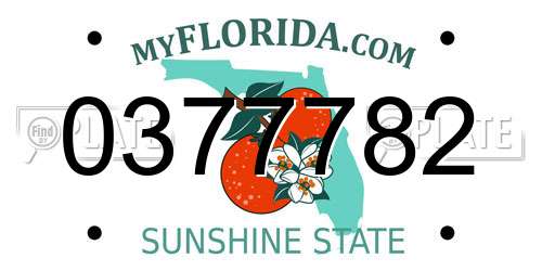 0377782 Florida License Plate