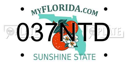 037NTD Florida License Plate