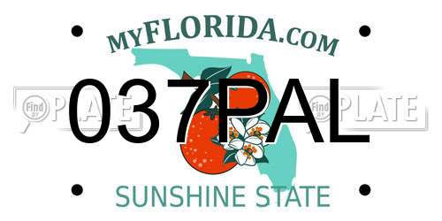 037PAL Florida License Plate