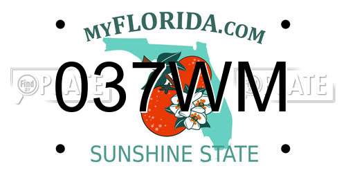 037WM Florida License Plate