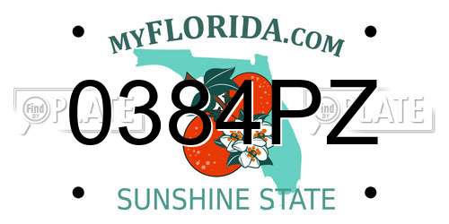 0384PZ Florida License Plate