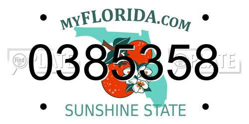 0385358 Florida License Plate