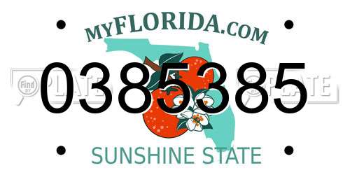0385385 Florida License Plate