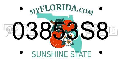 03853S8 Florida License Plate